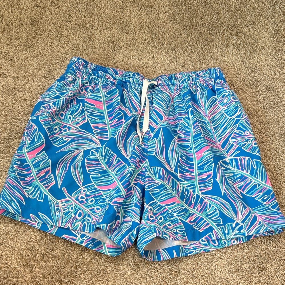 Chubbies Mens The Cruise It or Lose it Stretch Swim trunk-M-5.5”inseam-Blue/Pink